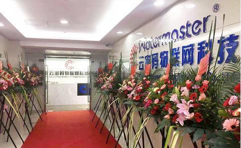 祝賀 凈享未來,共贏天下 云密碼盛世啟航典禮在廈門成功舉辦