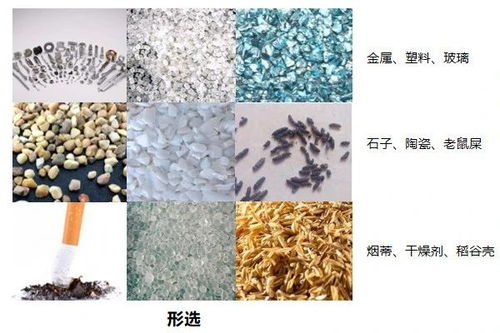 至凈時代 凈享旗艦版 四攝復合雙視大米色選機新品首發
