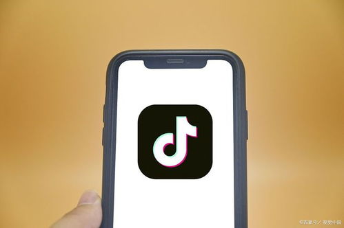 深度抖音小程序定制開發與SCM軟件系統定制開發 打造獨一無二的用戶體驗與供應鏈管理效能